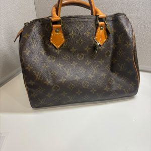 LOUIS VUITTON SPEEDY 30