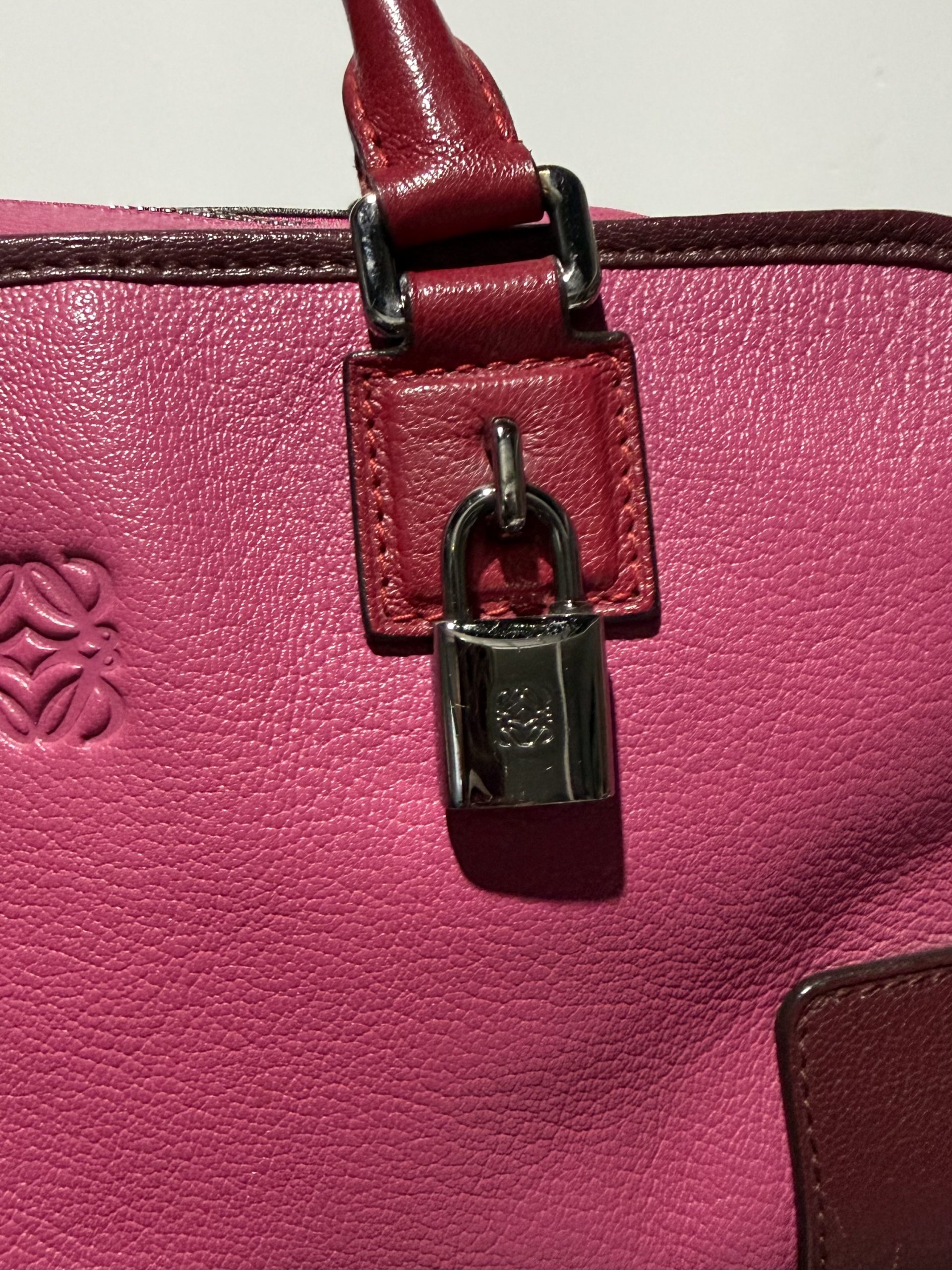 Loewe Amazona 28 Bicolor Rosa/Burdeos - Imagen 6