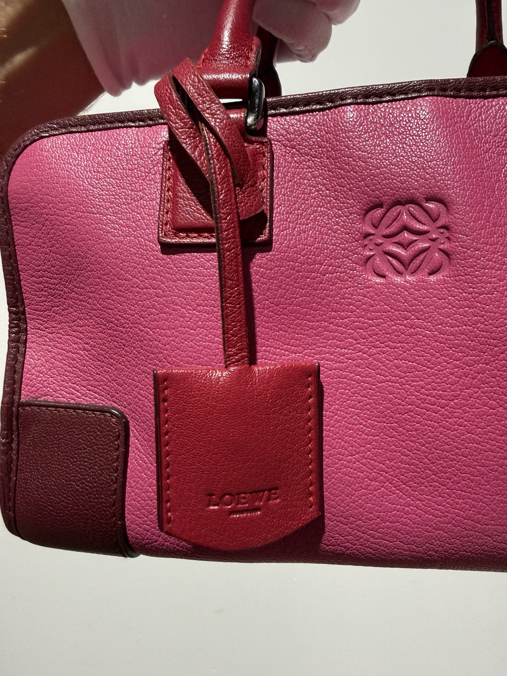Loewe Amazona 28 Bicolor Rosa/Burdeos - Imagen 7