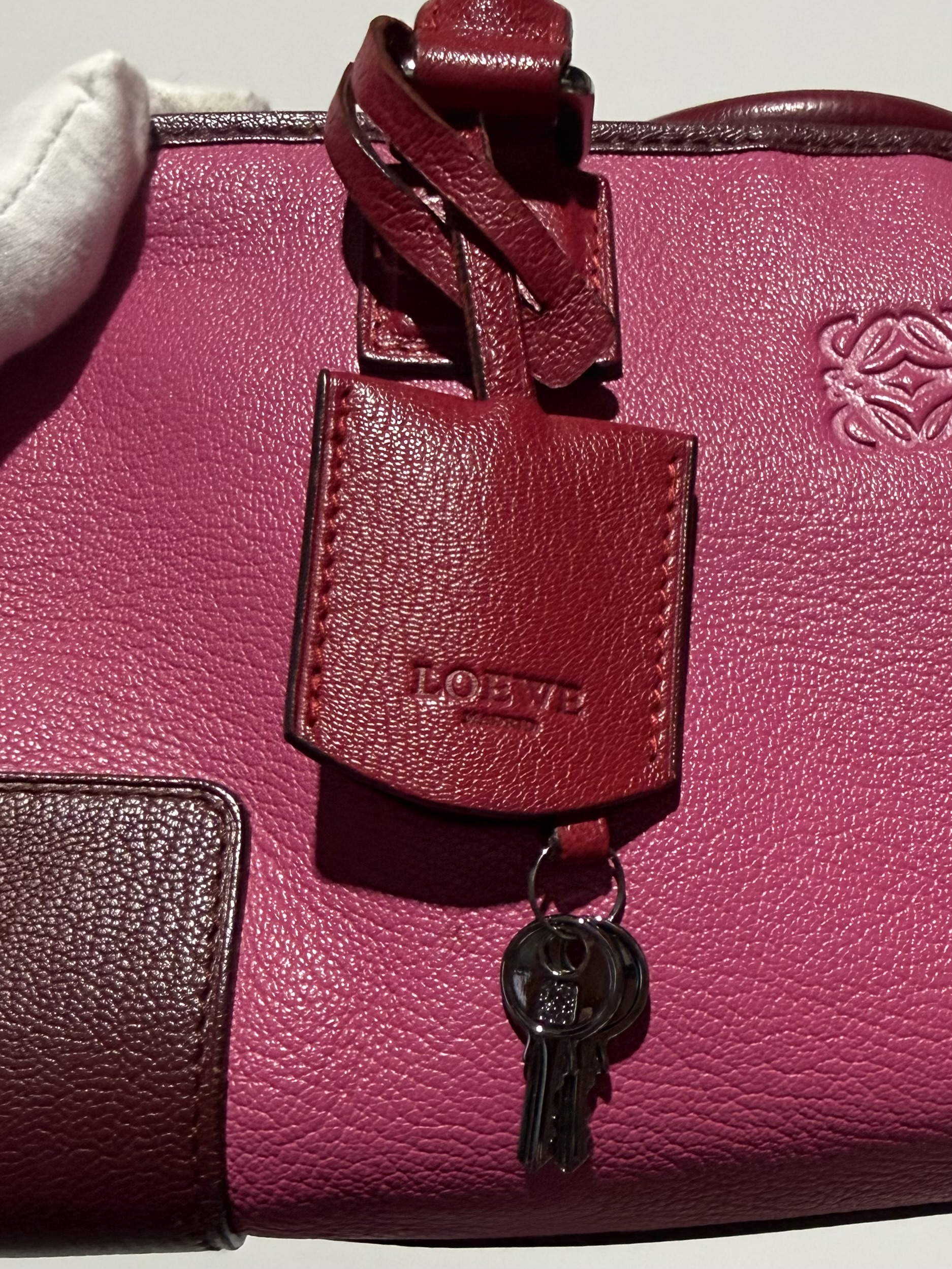 Loewe Amazona 28 Bicolor Rosa/Burdeos - Imagen 8